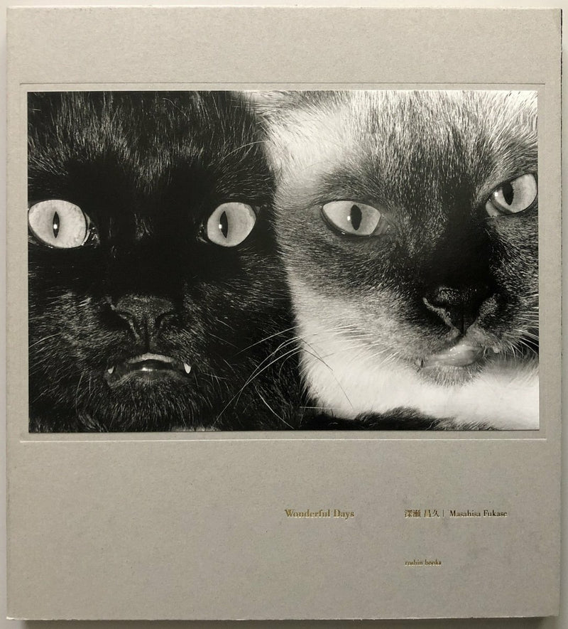 Masahisa Fukase Wonderful Days