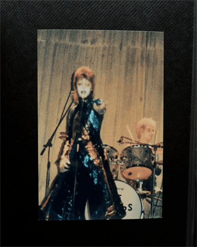 David Bowie Fan Album