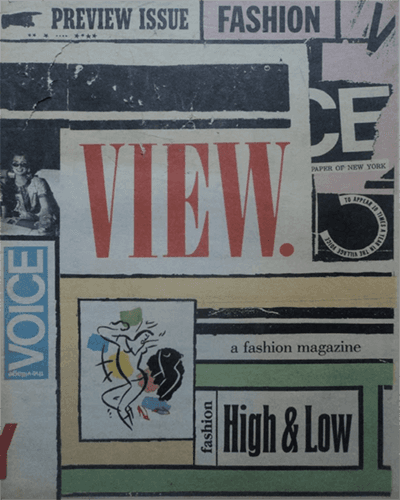 Village Voice View