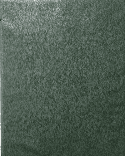 Green Folder