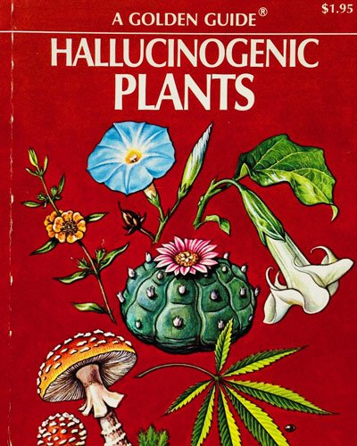 Hallucinogenic Plants