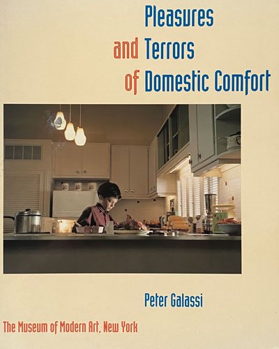 pleasures and terrors of domestic comfort