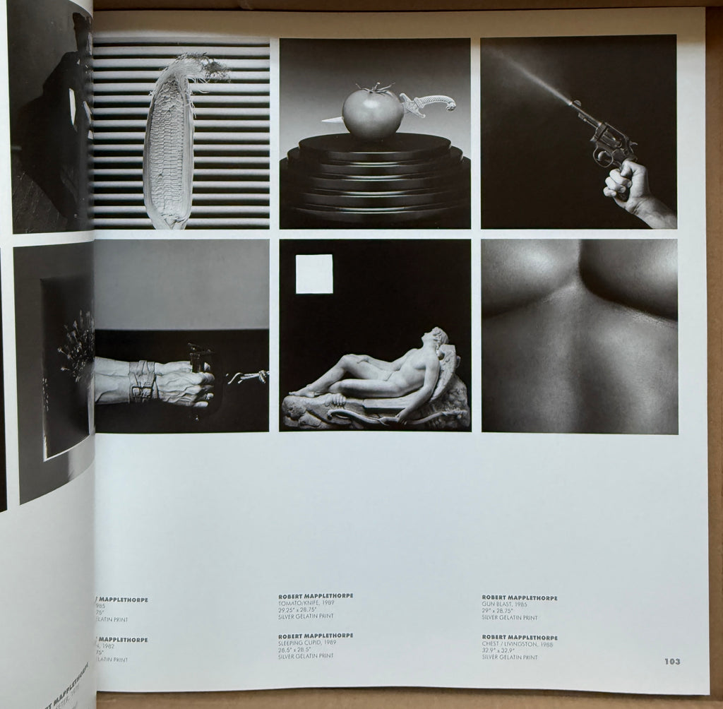 Peter Marino One Way