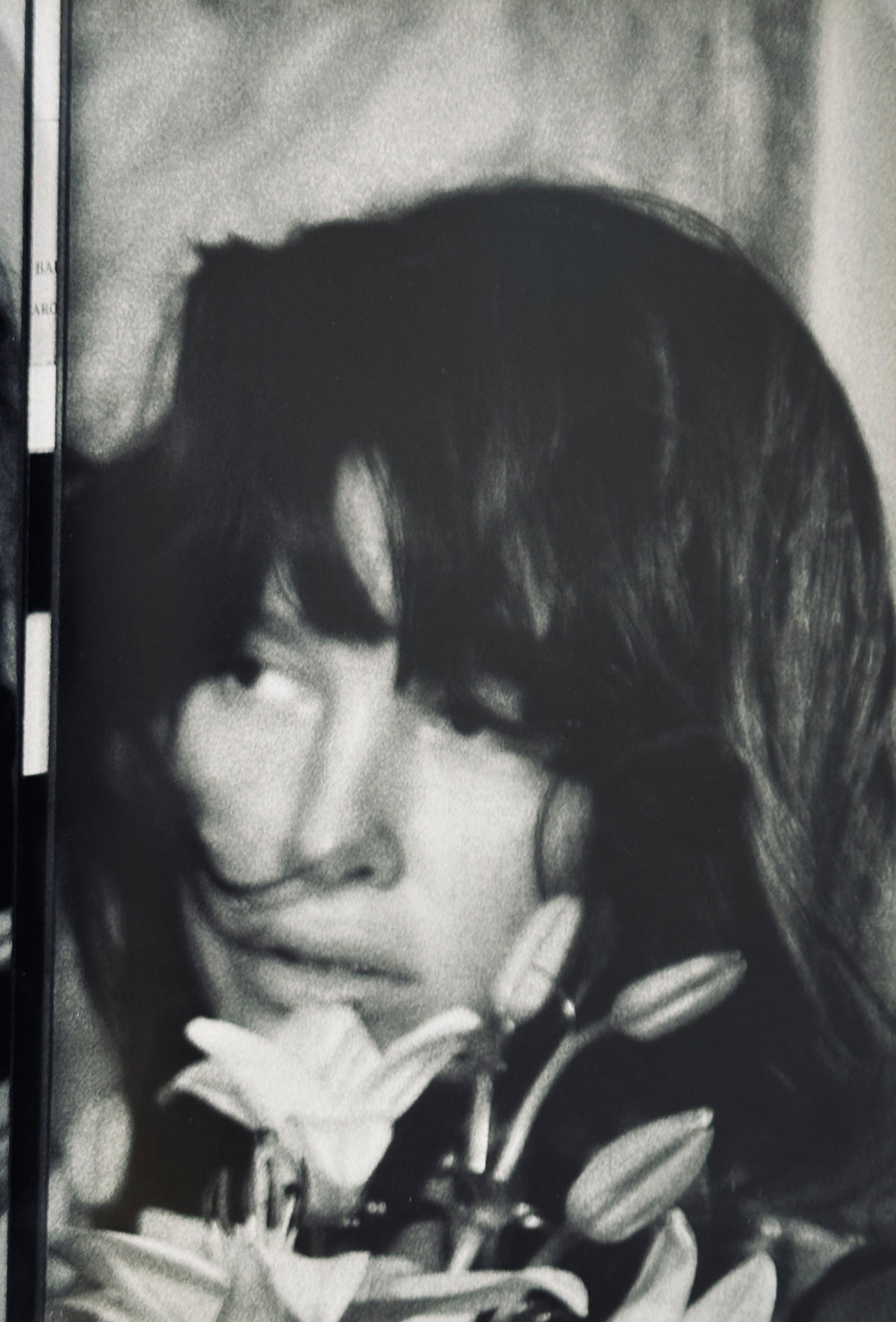 Paz De La Huerta The Birds Didn't Die Over The Winter