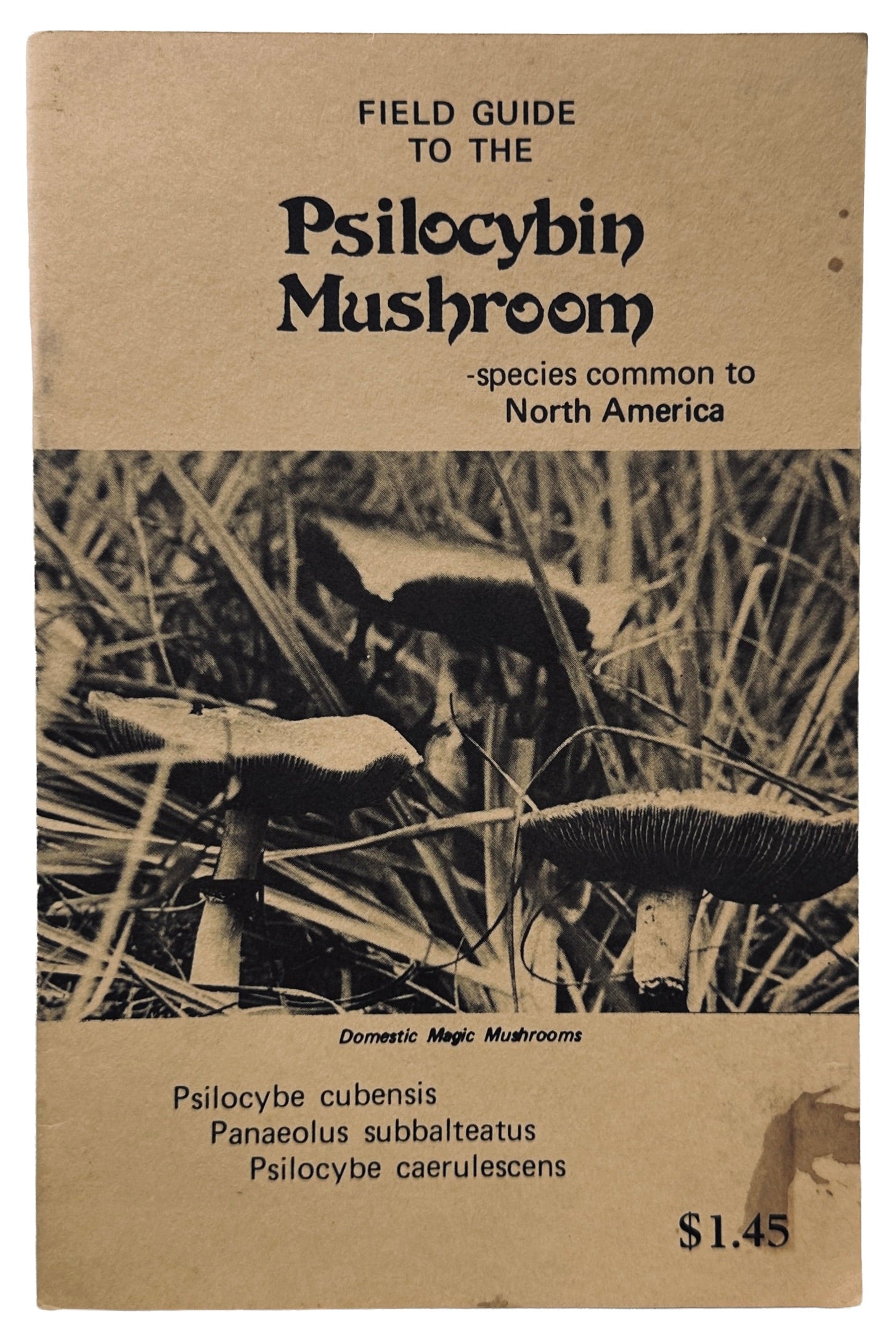 Field Guide To The Psilocybin Mushroom