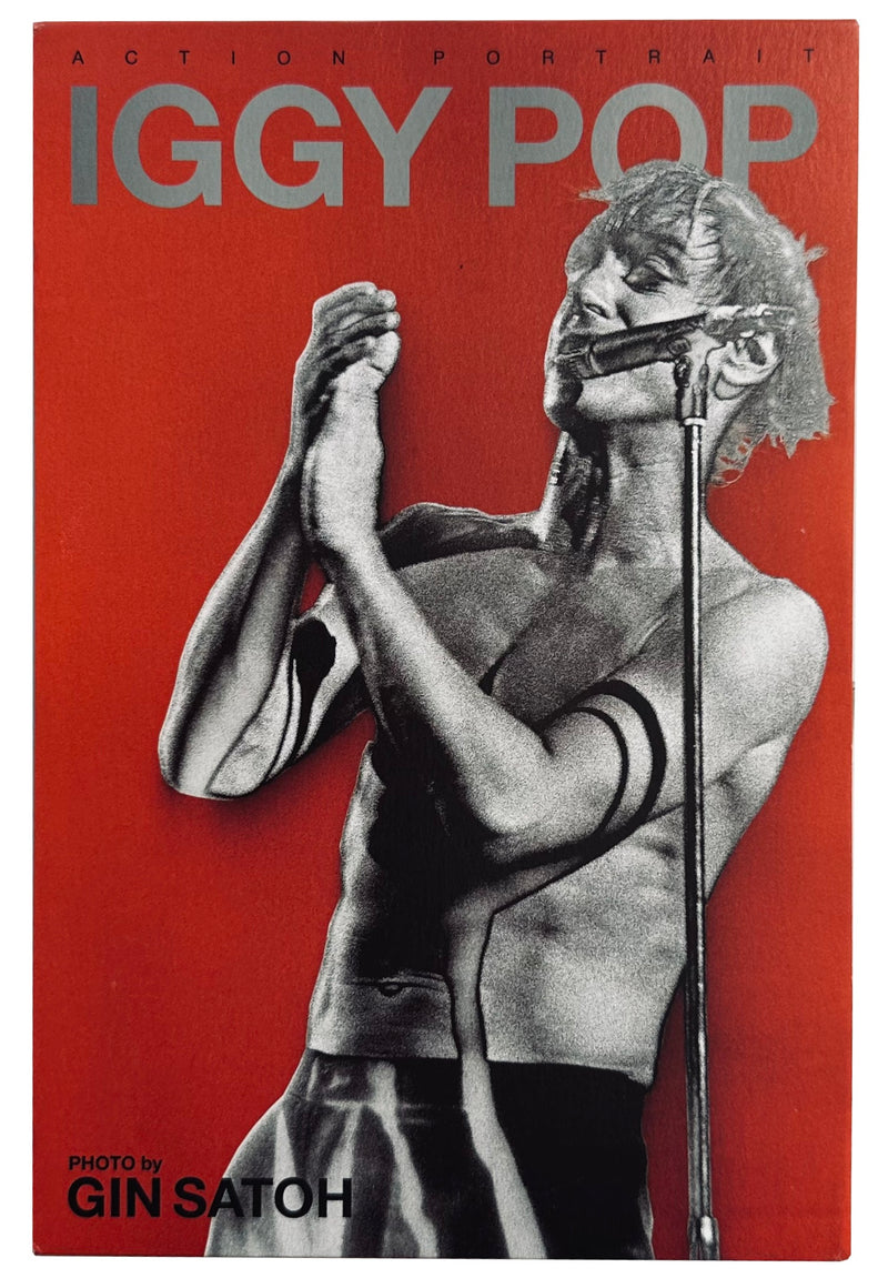 Iggy Pop Action Portrait