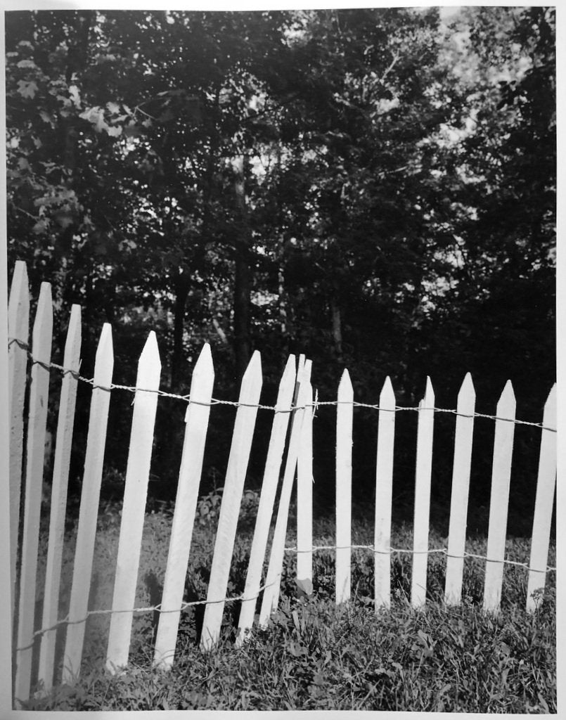 Collier Schorr Neighbors Nachbarn