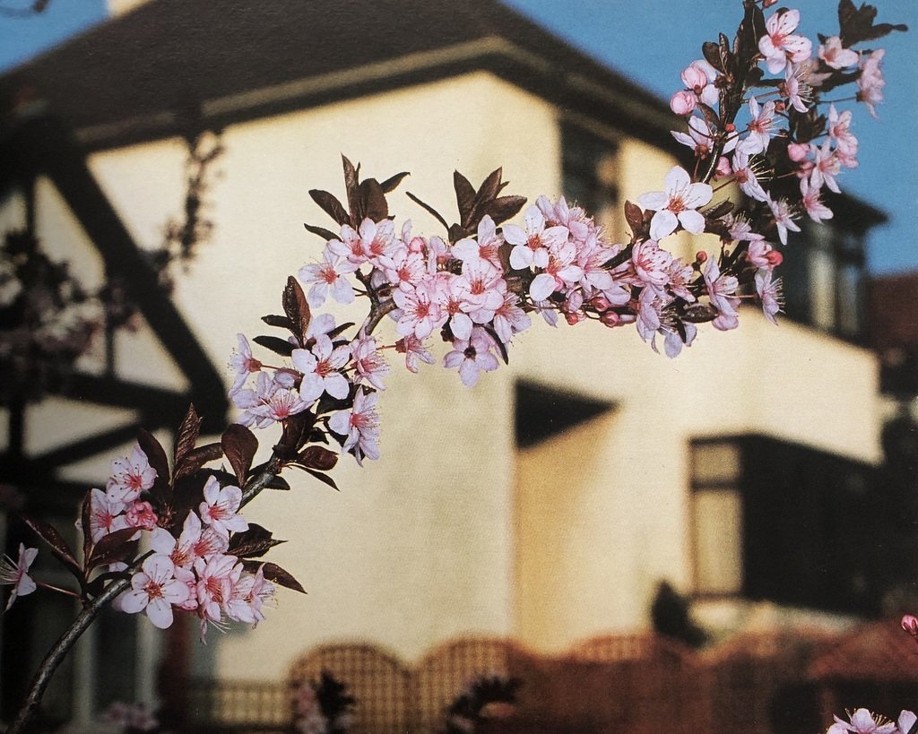 [SIGNED] MARTIN PARR FLOWERS AGNES B