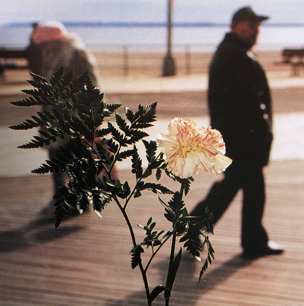 [SIGNED] MARTIN PARR FLOWERS AGNES B