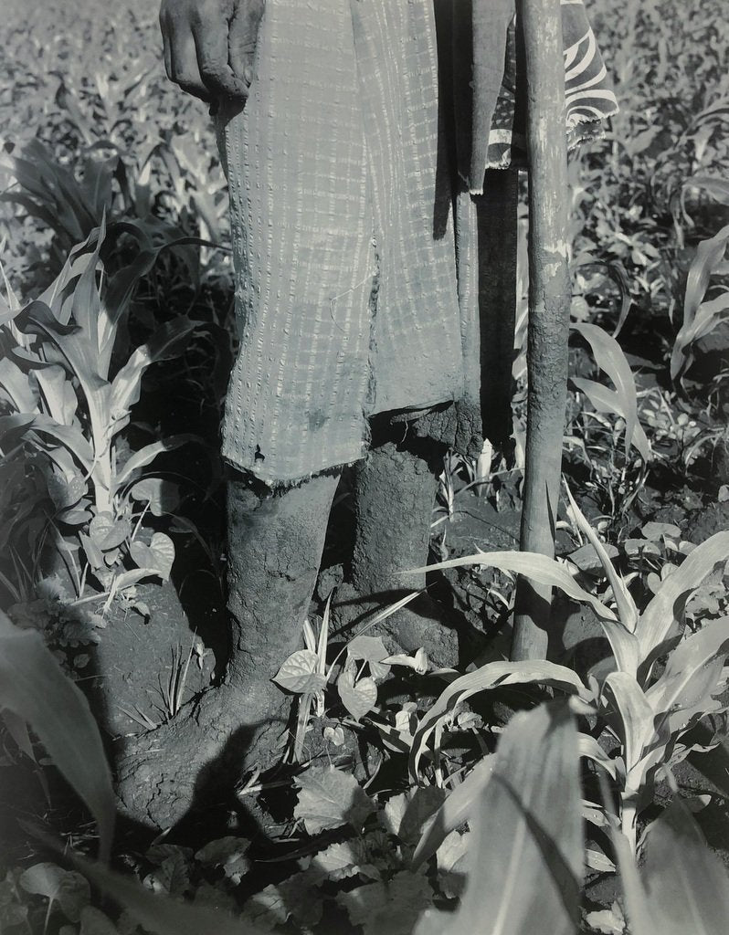 Jackie Nickerson Farm