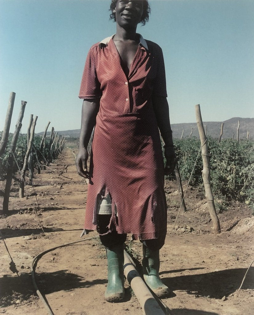 Jackie Nickerson Farm