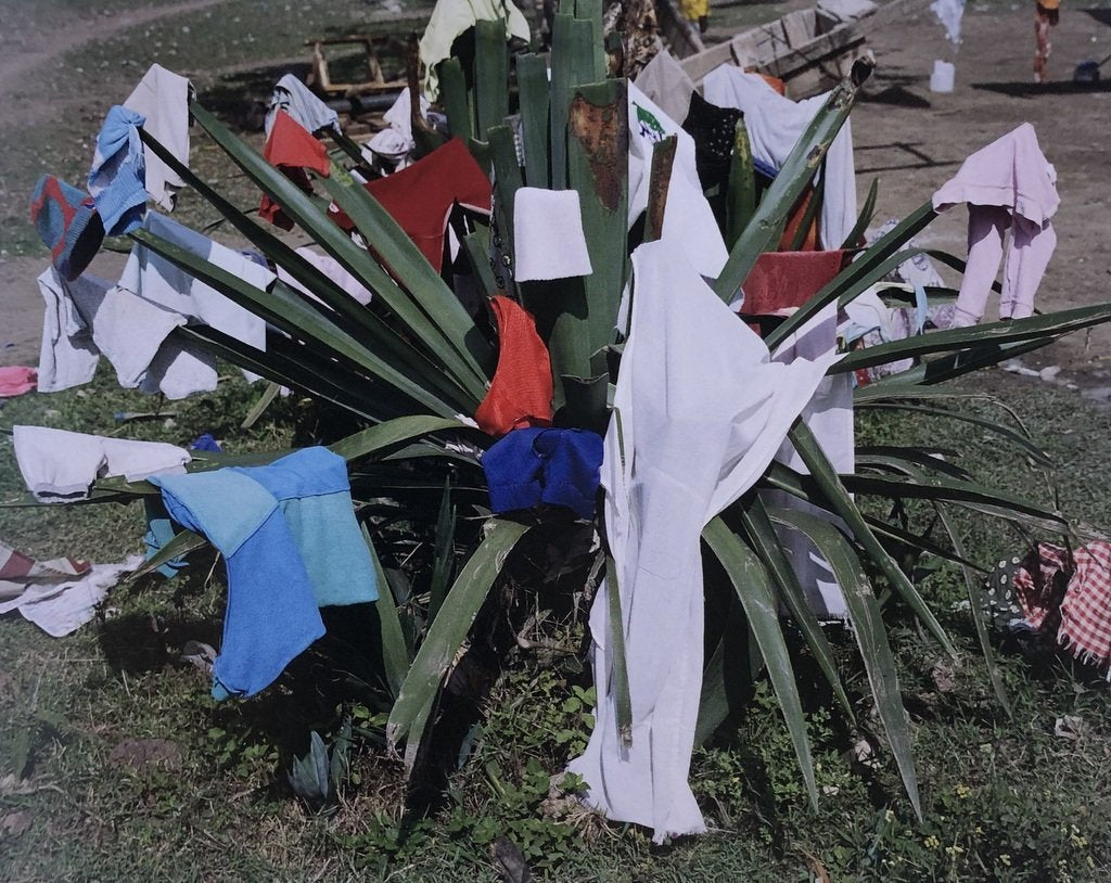 [SIGNED] VIVIANE SASSEN LEXICON