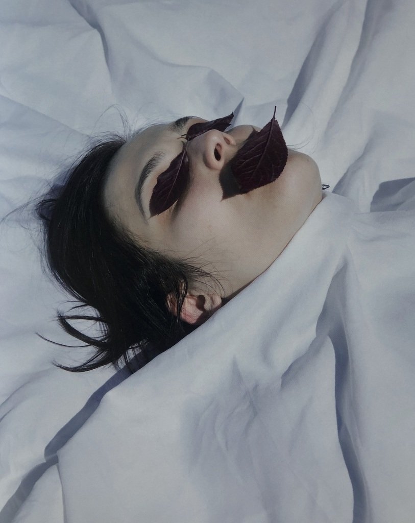[SIGNED] VIVIANE SASSEN LEXICON