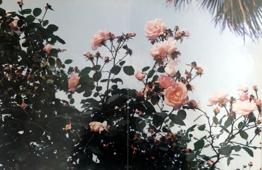 Takashi Homma Tokyo Suburbia