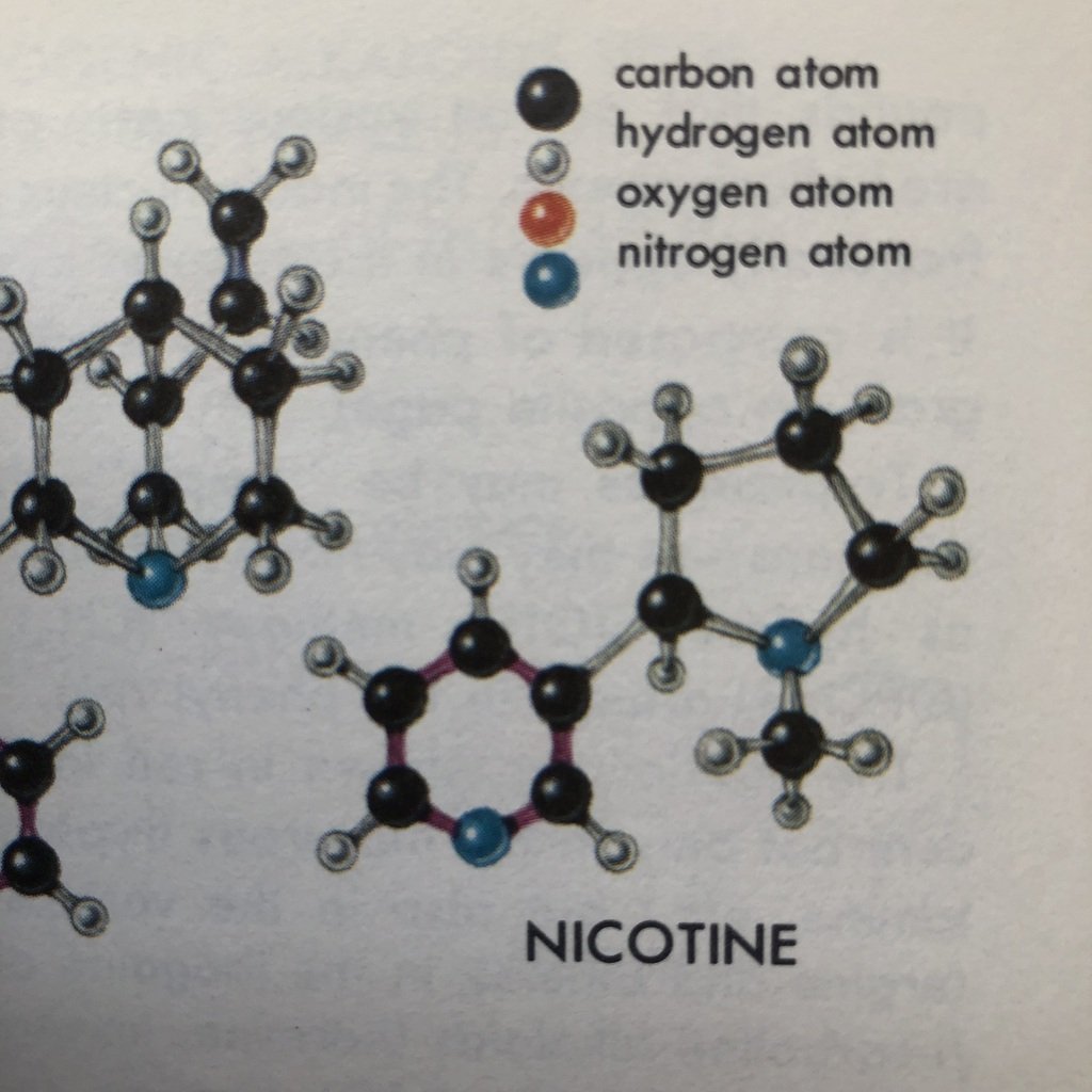 Hallucinogenic Plants