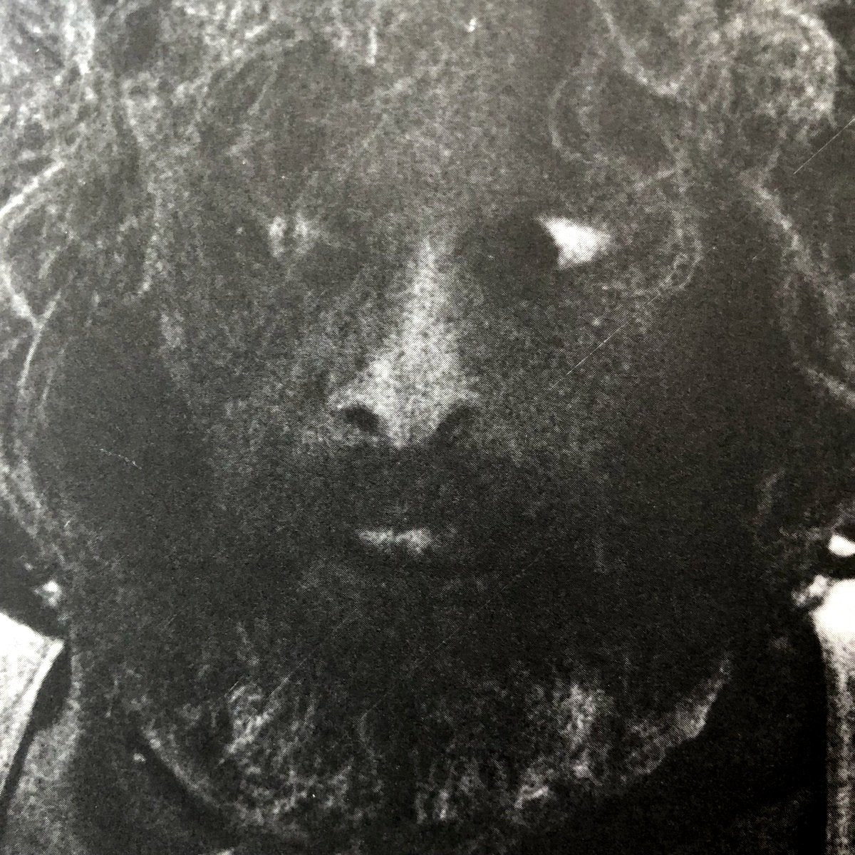 El Topo Alexandro Jodorowsky