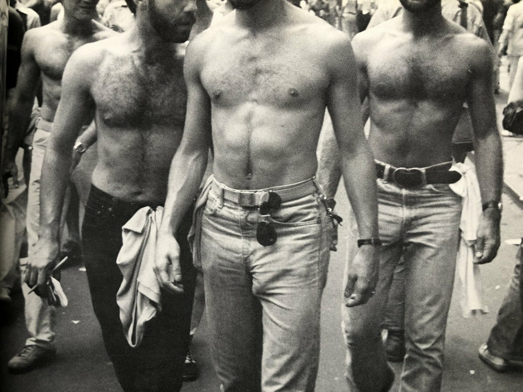 The Gay Picturebook
