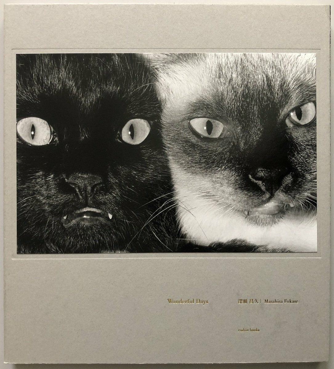 Masahisa Fukase Wonderful Days