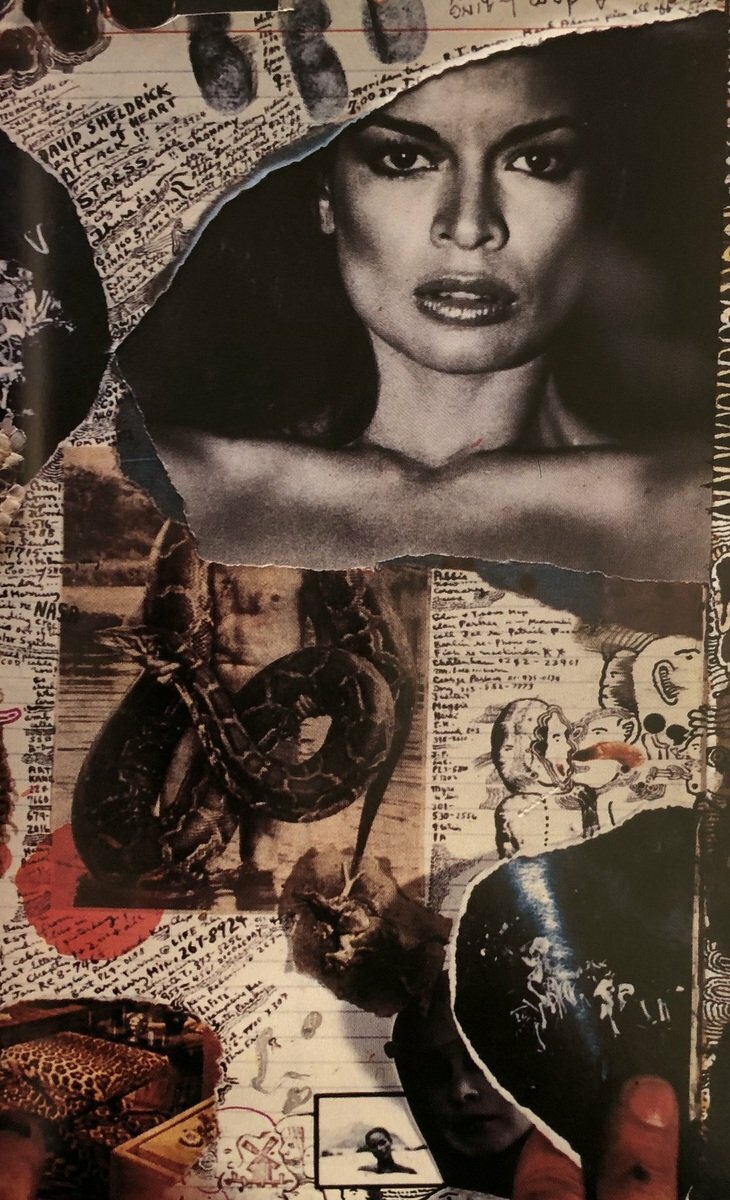Peter Beard Diary