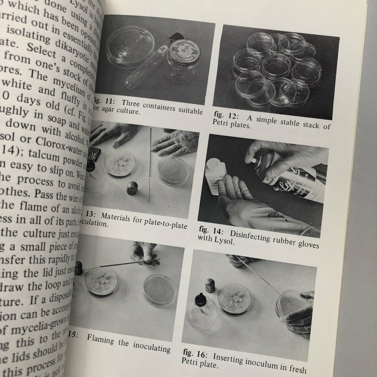 Psilocybin Magic Mushrooms Grower's Guide
