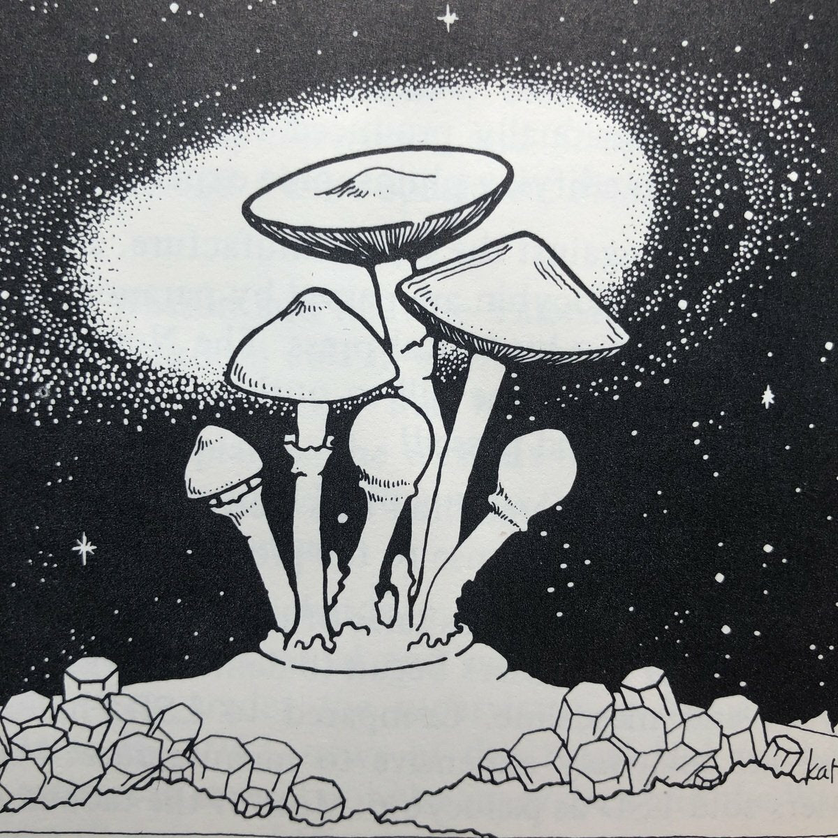 Psilocybin Magic Mushrooms Grower's Guide