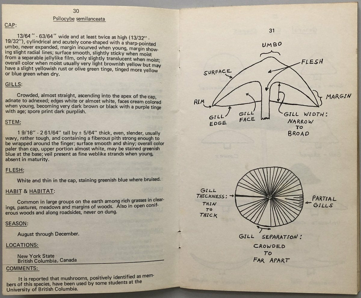 A Key To The American Psilocybin Mushroom