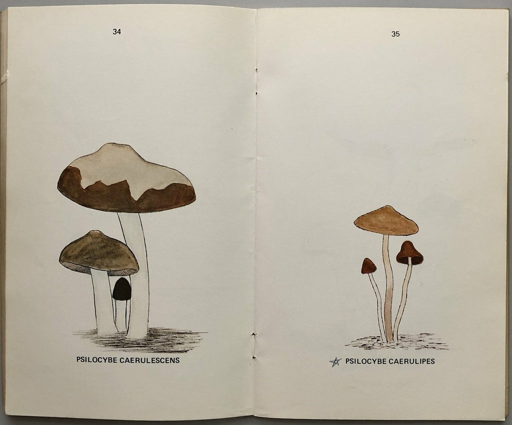 A Key To The American Psilocybin Mushroom