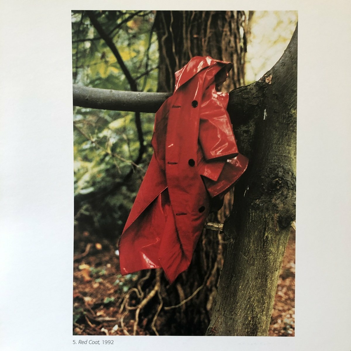 Wolfgang Tillmans Still Life