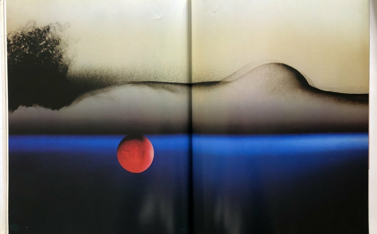 [SIGNED] SAM HASKINS PHOTOGRAPHICS