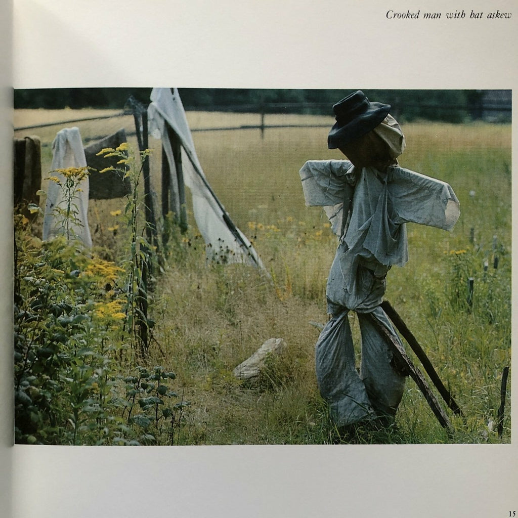 [SOLD AS SEEN] Scarecrows