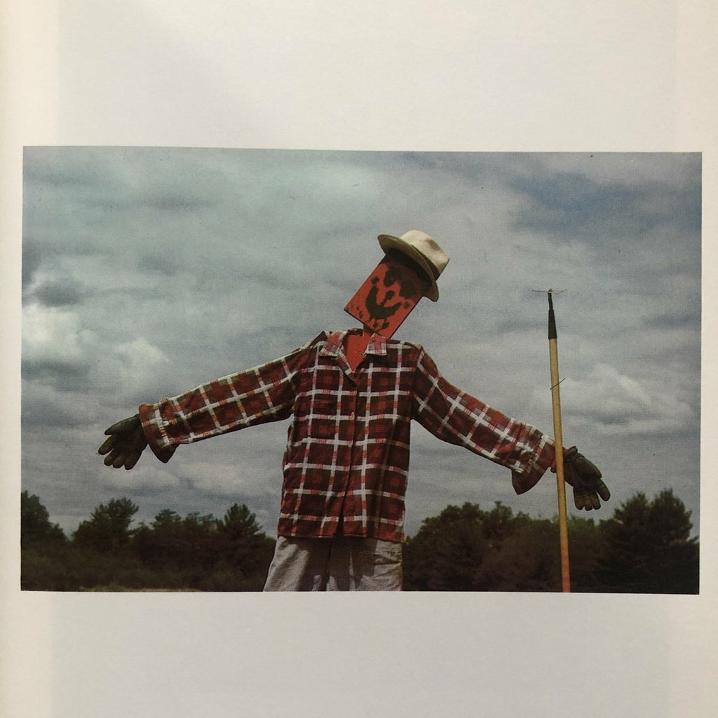[SOLD AS SEEN] Scarecrows
