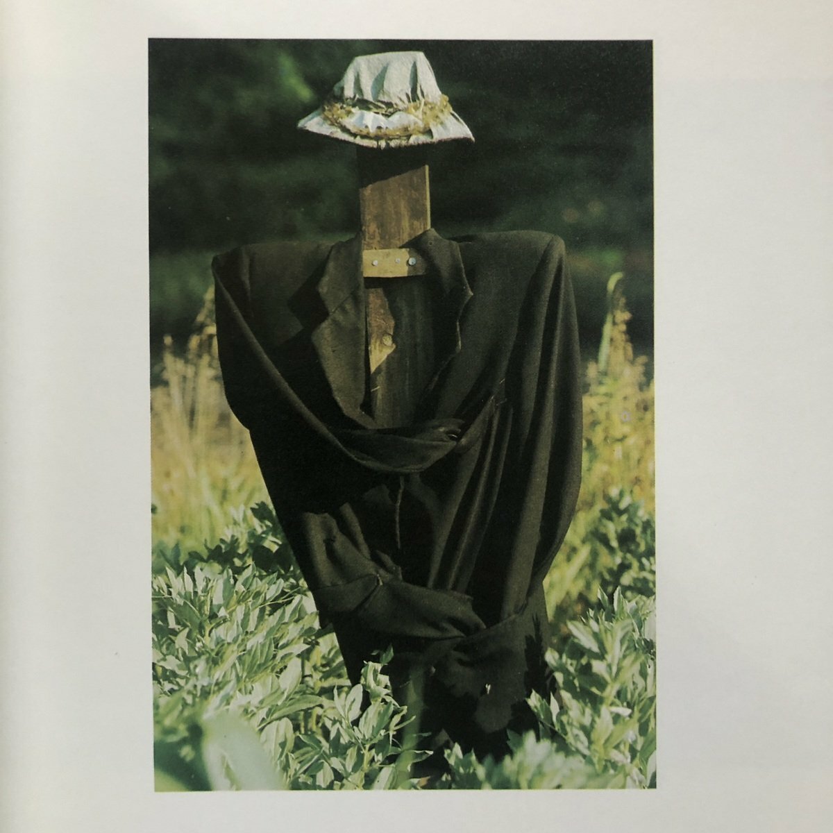 [SOLD AS SEEN] Scarecrows