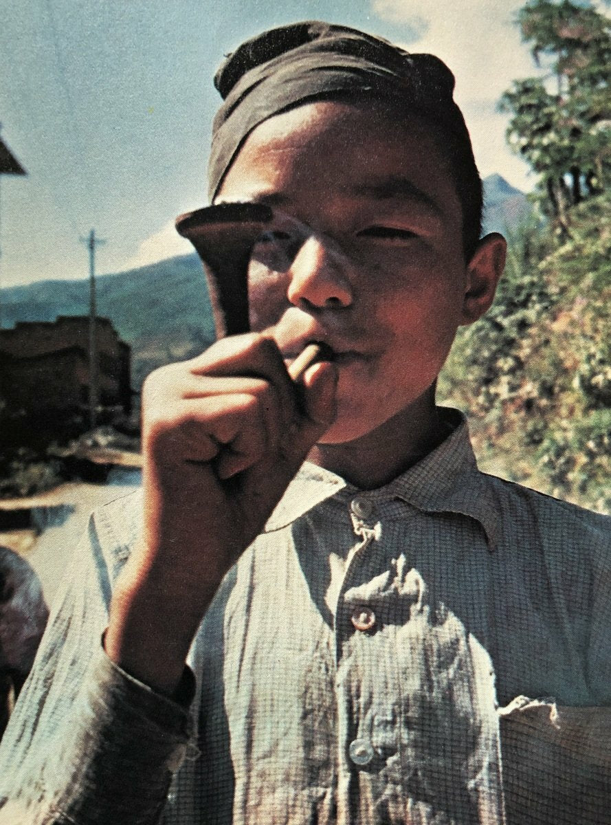 The Great Books of Hashish