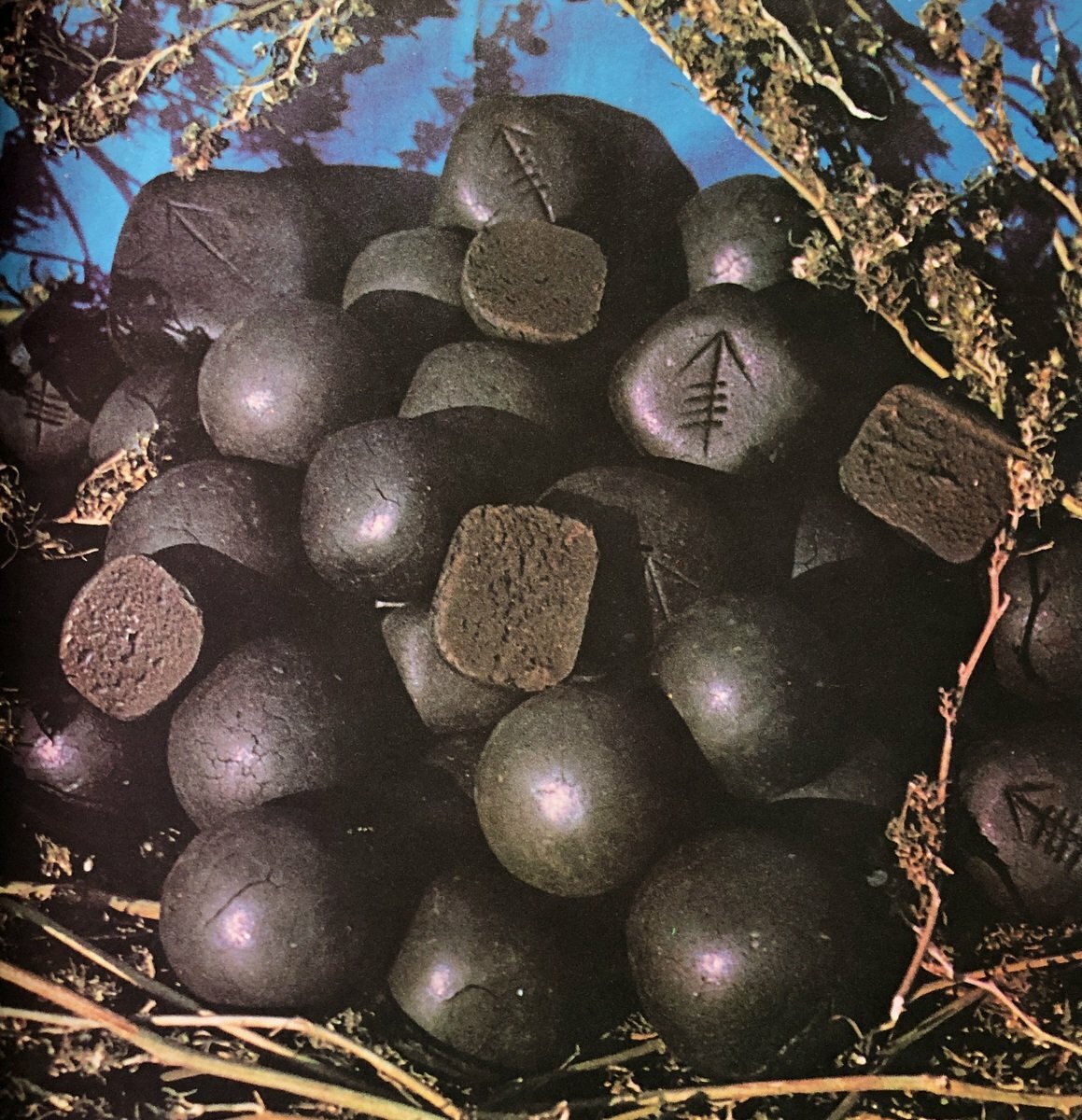 The Great Books of Hashish