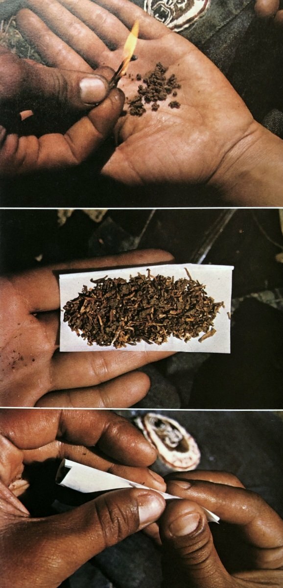 The Great Books of Hashish