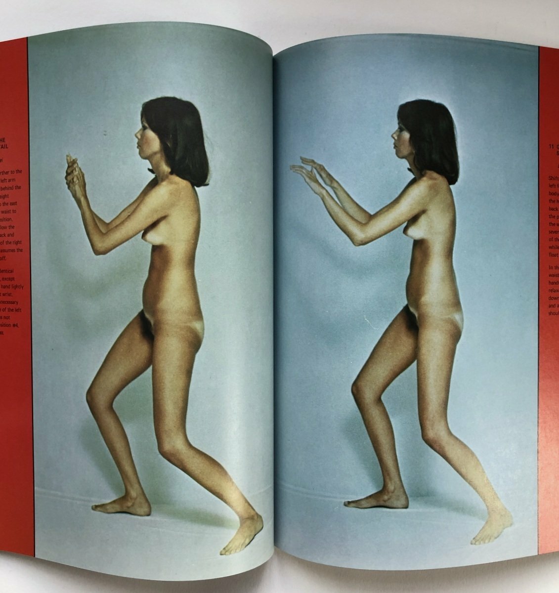 T'Ai Chi Nude
