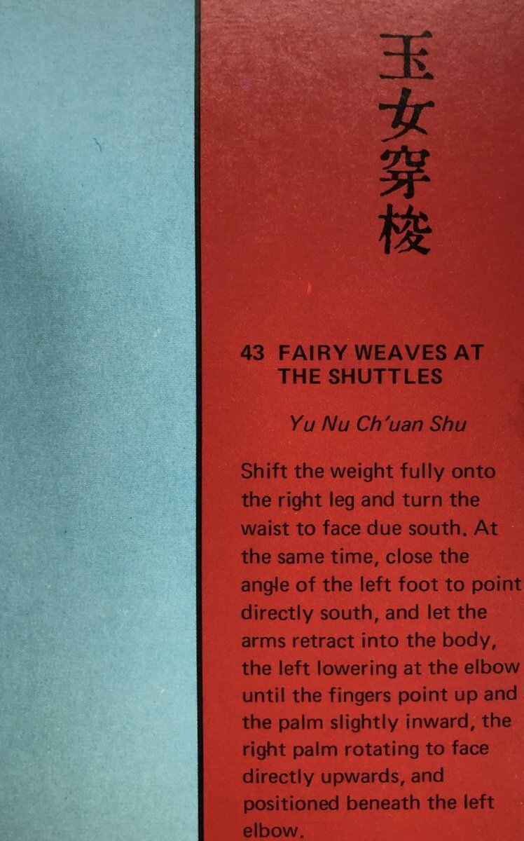 T'Ai Chi Nude