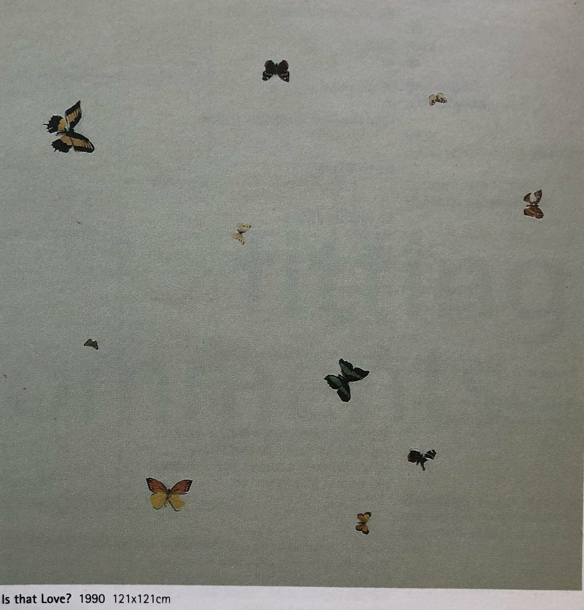 Frieze Pilot Issue Damien Hirst