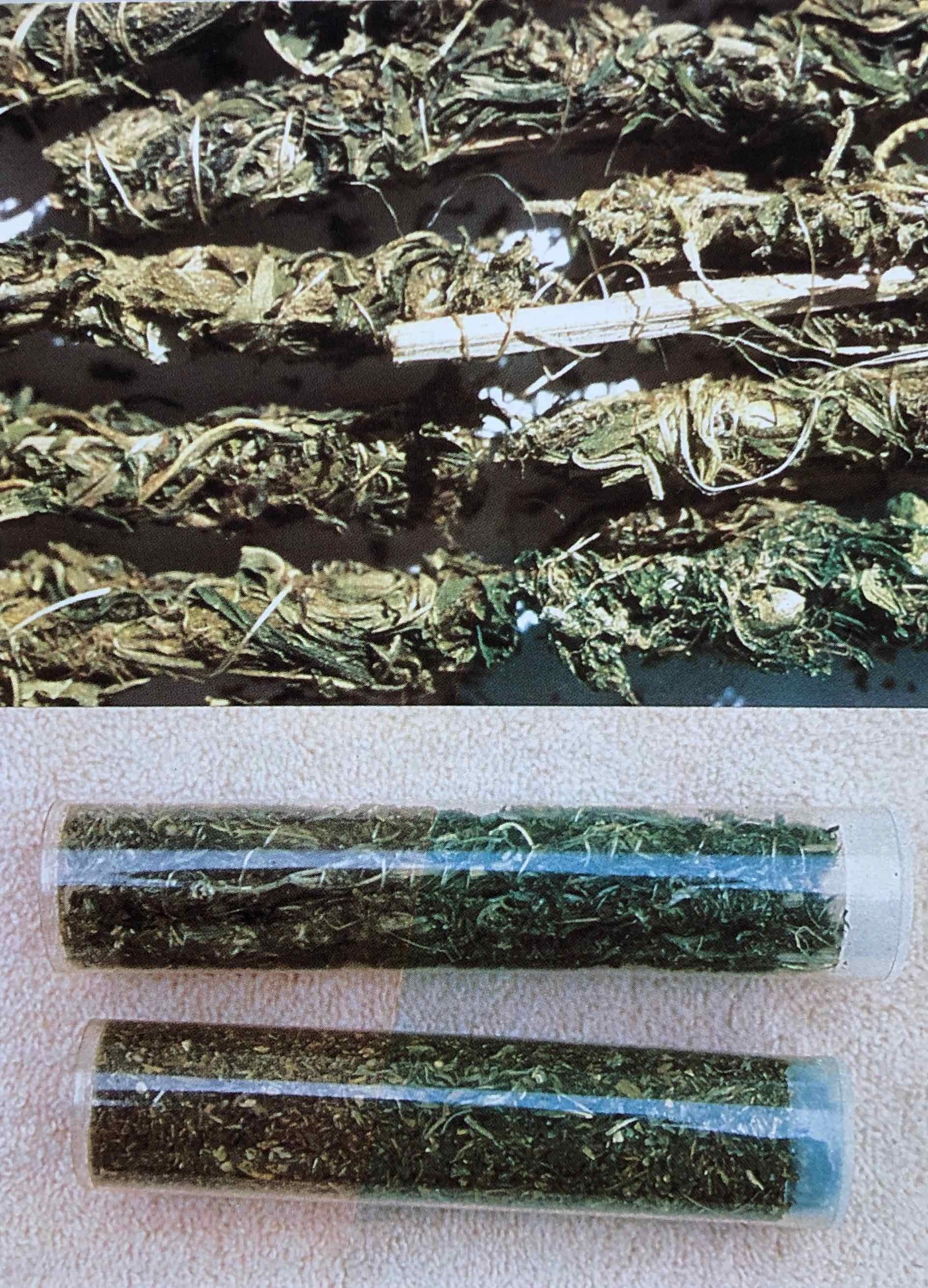 The Great Books of Cannabis II