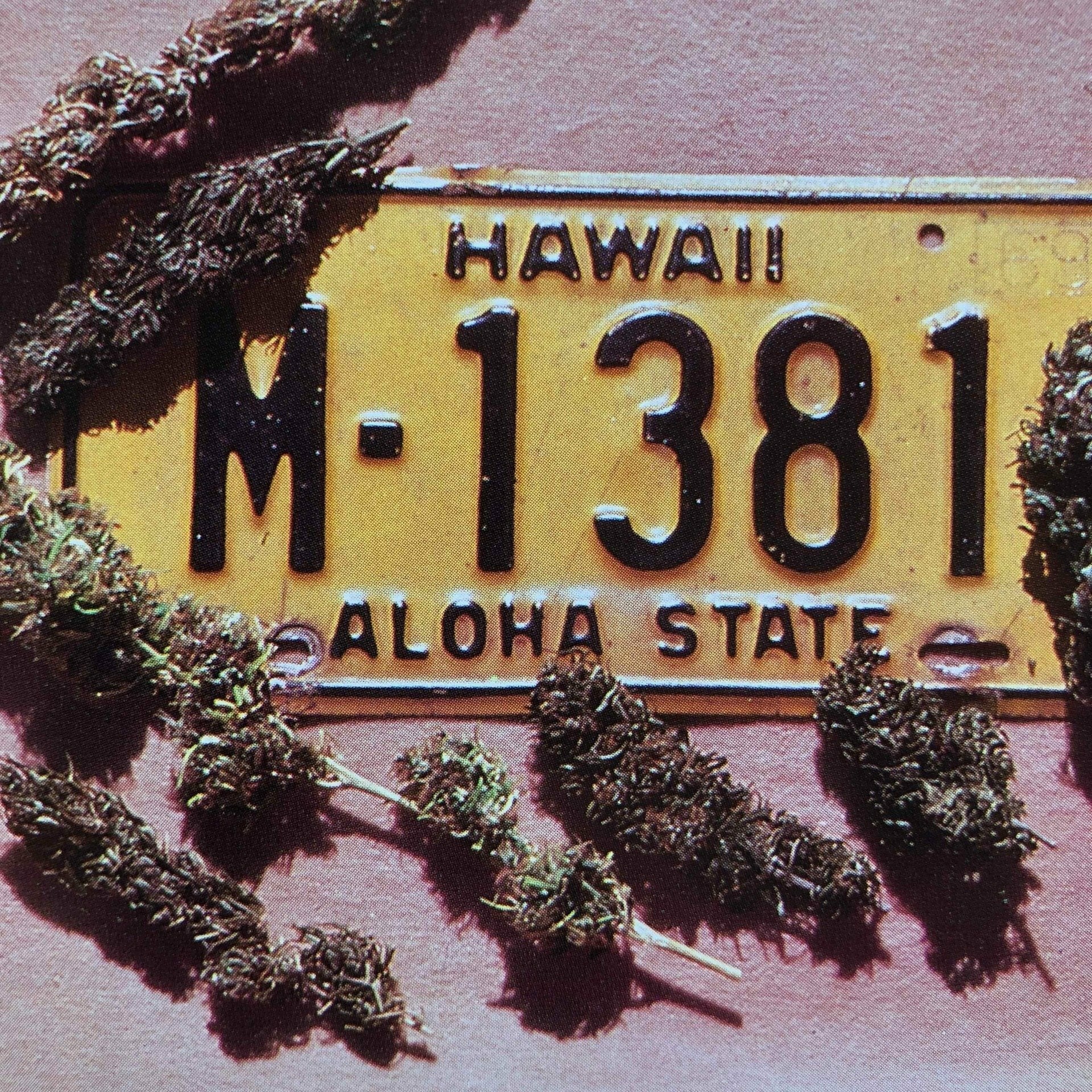 The Great Books of Cannabis II