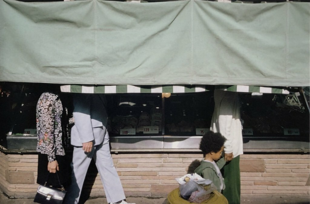 [SIGNED] STEPHEN SHORE TRANSPARENCIES