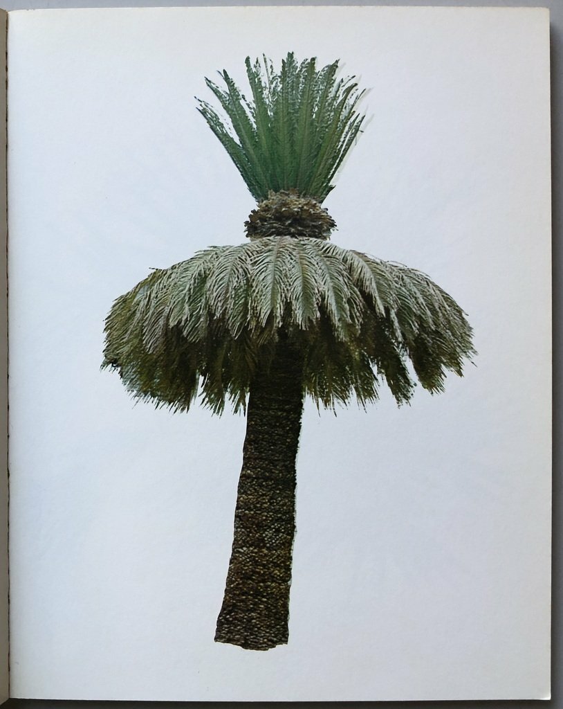 Ed Ruscha Colored People
