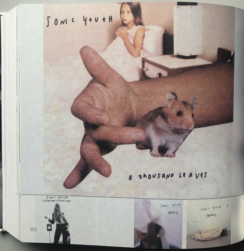 Sonic Youth Sensational Fix