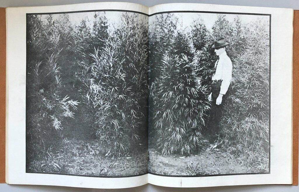 The Cultivator's Handbook of Marijuana