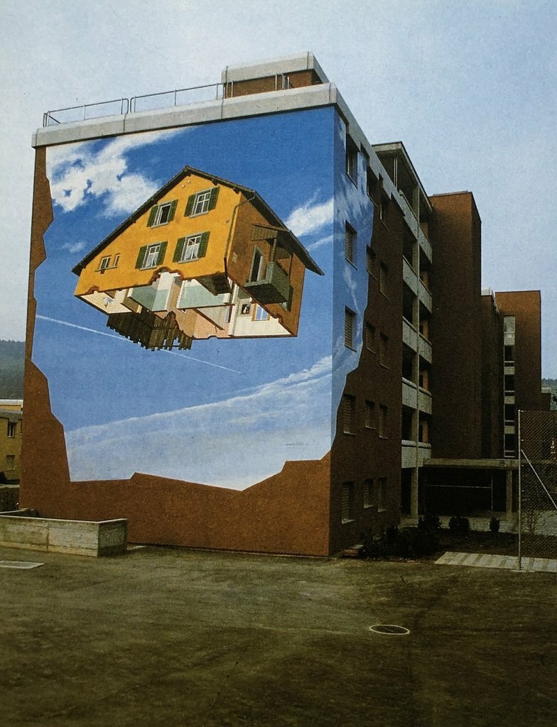 Graffiti Wall Art and Wild Pictures