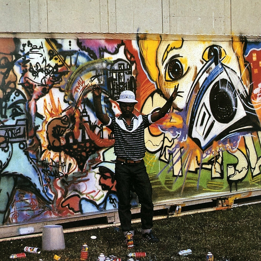 Graffiti Wall Art and Wild Pictures