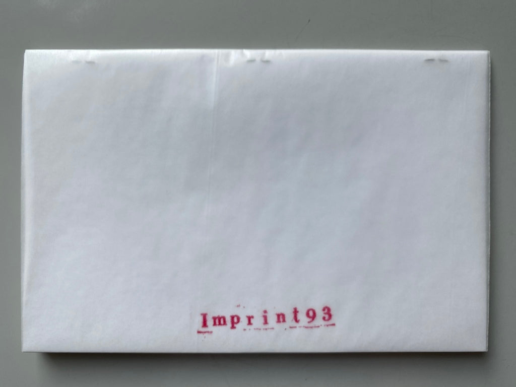 Imprint 93 Elizabeth Peyton Kurt Cobain