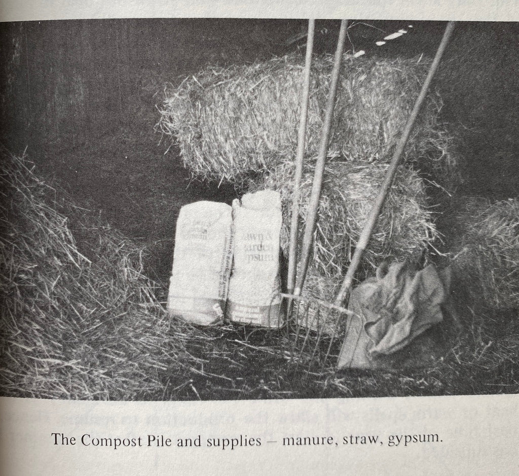 Psilocybin Cultivation