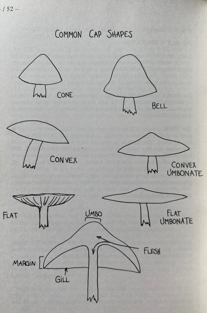 Psilocybin Cultivation