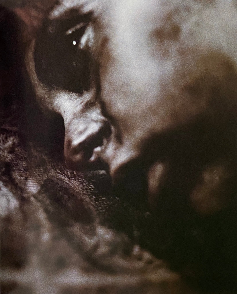 希少　BILL HENSON photographs ビルヘンソン写真集 Bill Henson Photographs – IDEA